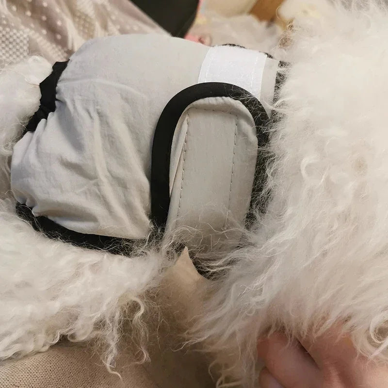 Culottes hygiéniques réutilisables et lavables pour petits chiens, couches pour chiens femelles, culottes physiologiques pour chats mâles, menstruation des animaux de compagnie