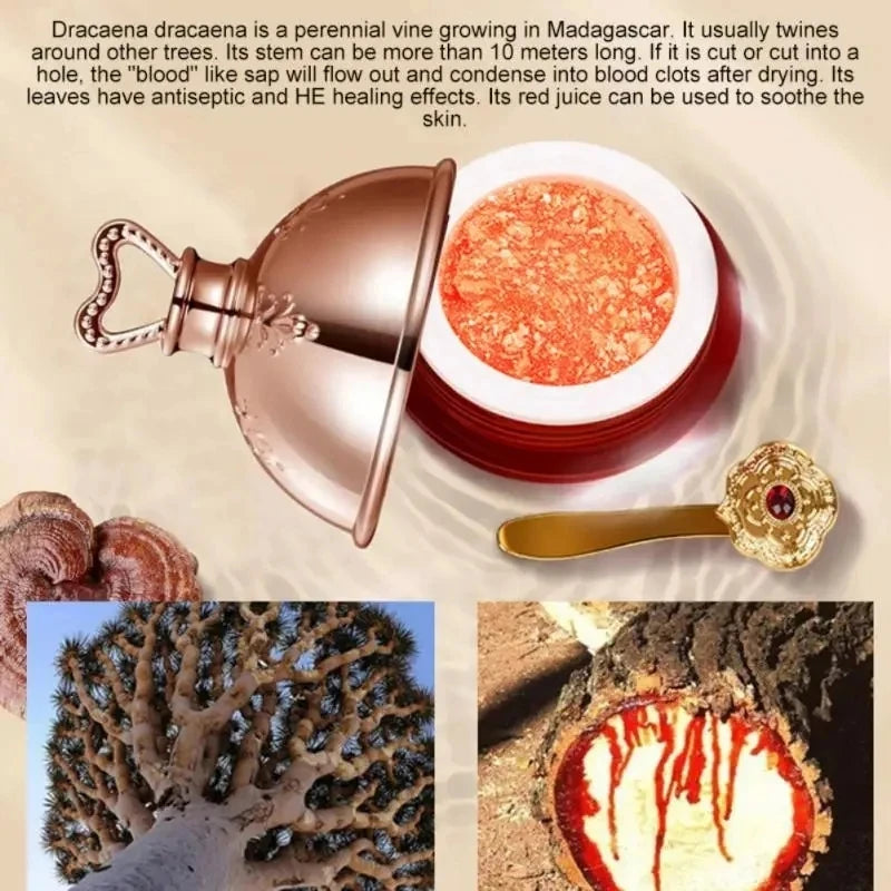 Crème visage Sang de Dragon, essence de rétinol et de placenta, éclaircissante, liftante et raffermissante, soin coréen