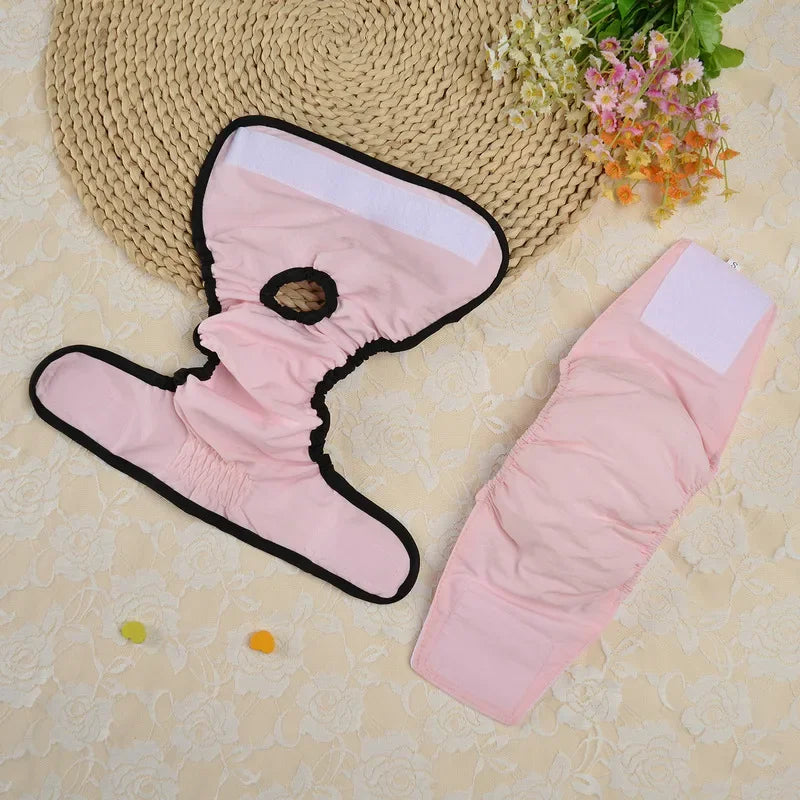 Culottes hygiéniques réutilisables et lavables pour petits chiens, couches pour chiens femelles, culottes physiologiques pour chats mâles, menstruation des animaux de compagnie