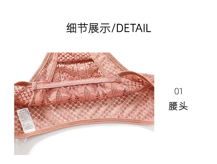 Culottes transparentes en dentelle sexy, taille basse, sans coutures, style culotte à crochets. Lingerie féminine.
