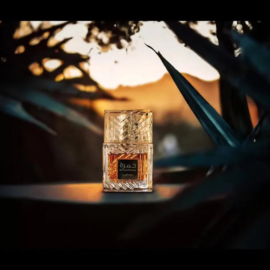 Unisex Eau de Parfum 100ml sweet, warm vanilla and spicy fragrance with woody notes, perfect for any occasion