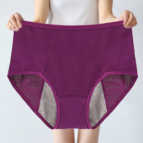 Lot de 2 culottes physiologiques pour femmes, culottes menstruelles anti-fuites, taille mi-haute, en soie glacée.