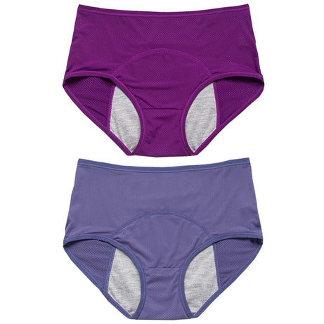 Lot de 2 culottes physiologiques pour femmes, culottes menstruelles anti-fuites, taille mi-haute, en soie glacée.