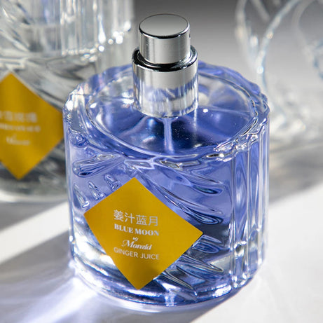 Parfum pour homme de marque premium Arabian Charm, parfum aux phéromones en spray, parfum unisexe longue tenue, fougère boisé romantique