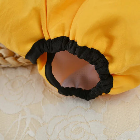 Culottes hygiéniques réutilisables et lavables pour petits chiens, couches pour chiens femelles, culottes physiologiques pour chats mâles, menstruation des animaux de compagnie