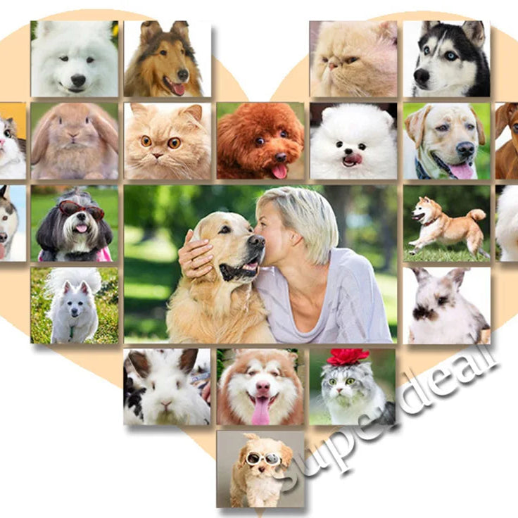 Tondeuse pour chien, tondeuse à poils pour le toilettage (animaux de compagnie/chats/chiens/lapins), kit de tondeuse et rasoir PetsFader