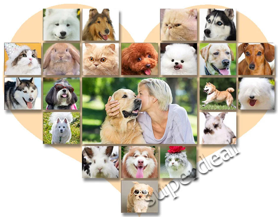 Tondeuse pour chien, tondeuse à poils pour le toilettage (animaux de compagnie/chats/chiens/lapins), kit de tondeuse et rasoir PetsFader