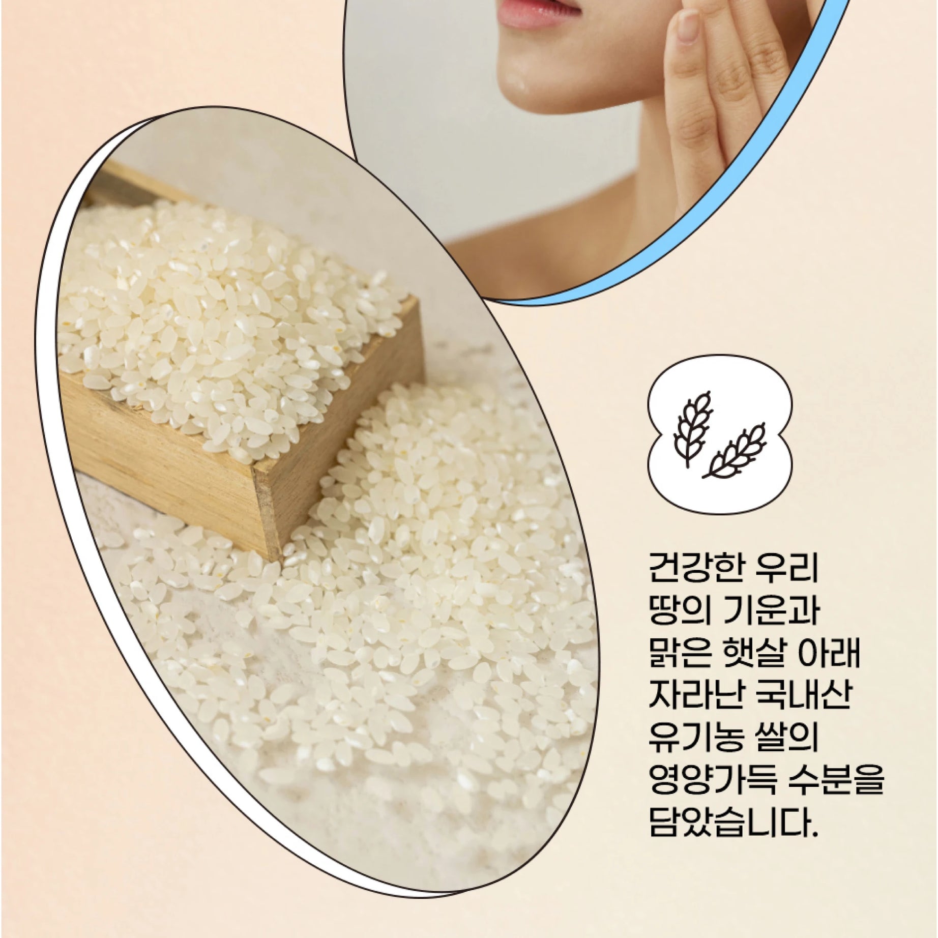 SPF50+ Beauty of Joseon Sunscreen Korean Rice Probiotic Solar Blocker Skin Cream Anti UV Sun Block Facial Mild Moisturizer 50ml