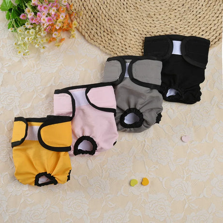 Culottes hygiéniques réutilisables et lavables pour petits chiens, couches pour chiens femelles, culottes physiologiques pour chats mâles, menstruation des animaux de compagnie