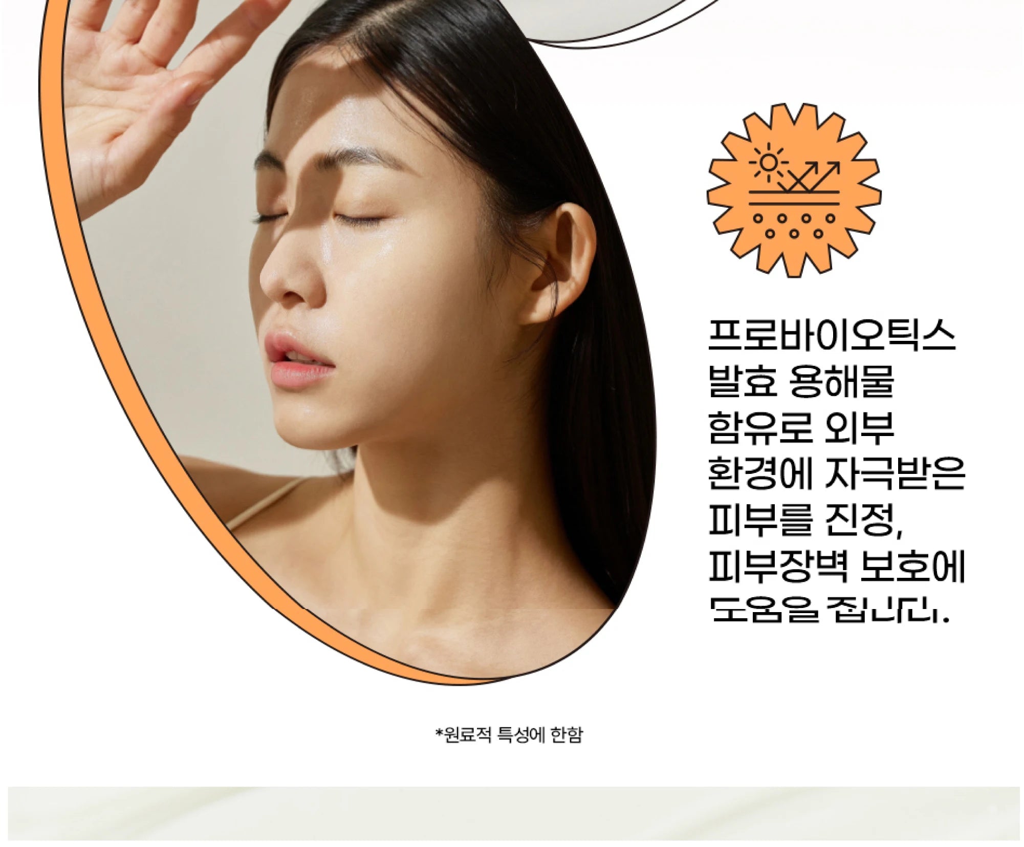 SPF50+ Beauty of Joseon Sunscreen Korean Rice Probiotic Solar Blocker Skin Cream Anti UV Sun Block Facial Mild Moisturizer 50ml