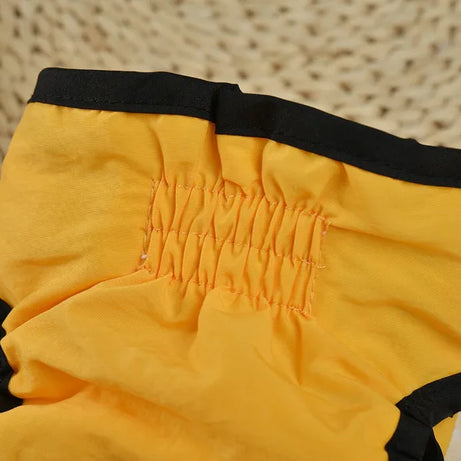 Culottes hygiéniques réutilisables et lavables pour petits chiens, couches pour chiens femelles, culottes physiologiques pour chats mâles, menstruation des animaux de compagnie