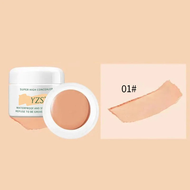 Correcteur longue tenue, léger et respirant, camoufle les imperfections, atténue les cernes et les taches de rousseur, fond de teint mat, correcteur de teint, maquillage du visage