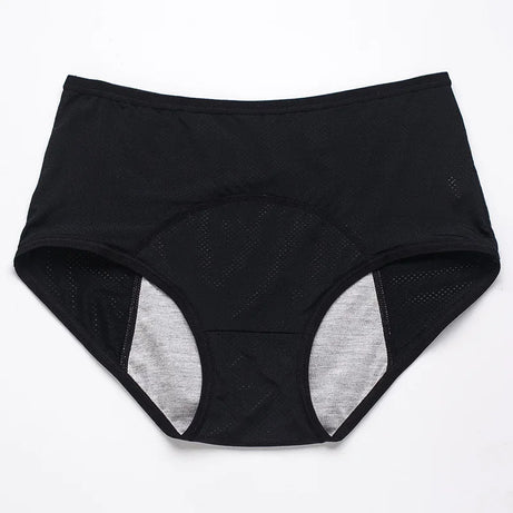 Lot de 2 culottes physiologiques pour femmes, culottes menstruelles anti-fuites, taille mi-haute, en soie glacée.