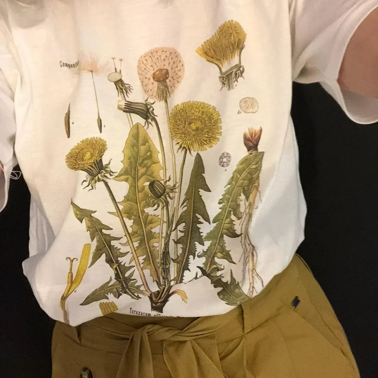 T-shirt graphique à motif botanique pissenlit, idéal pour la randonnée, imprimé botanique, manches courtes, en coton, coupe oversize, style Harajuku, pour femme