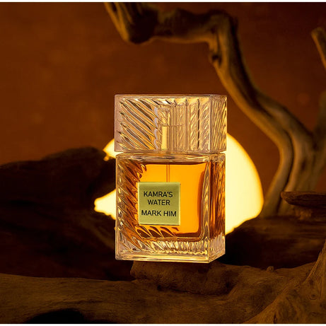 Parfum pour homme de marque premium Arabian Charm, parfum aux phéromones en spray, parfum unisexe longue tenue, fougère boisé romantique