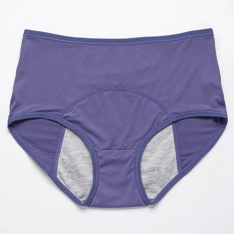 Lot de 2 culottes physiologiques pour femmes, culottes menstruelles anti-fuites, taille mi-haute, en soie glacée.