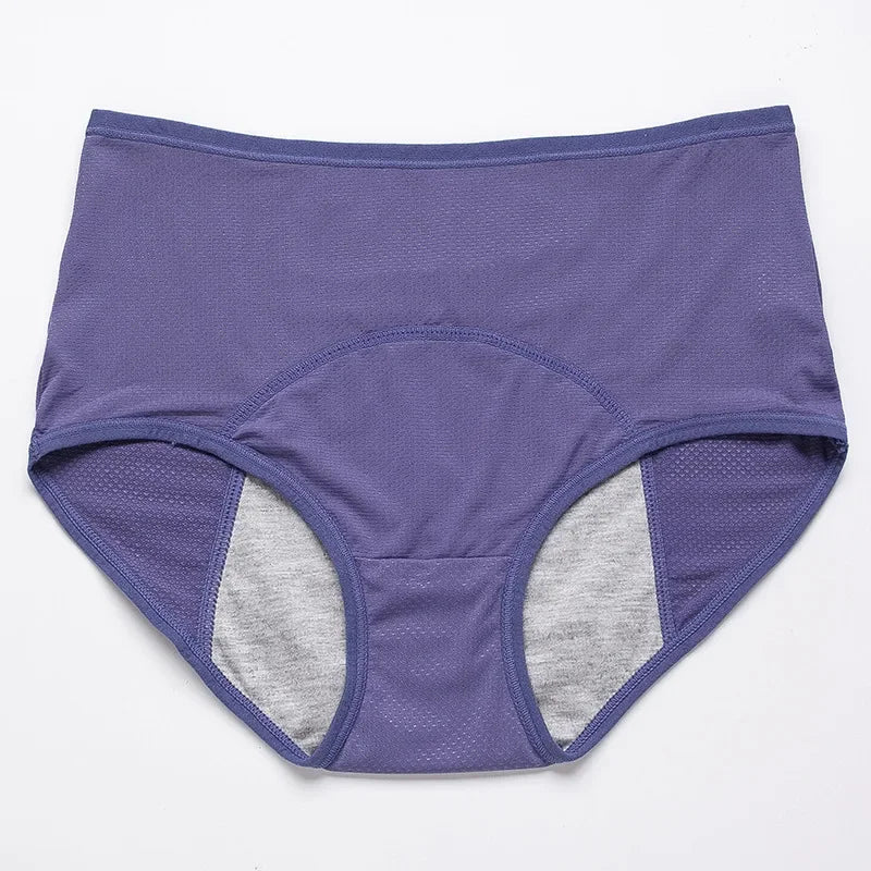 Lot de 2 culottes physiologiques pour femmes, culottes menstruelles anti-fuites, taille mi-haute, en soie glacée.