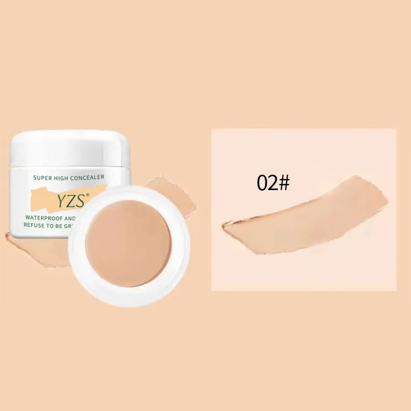 Correcteur longue tenue, léger et respirant, camoufle les imperfections, atténue les cernes et les taches de rousseur, fond de teint mat, correcteur de teint, maquillage du visage