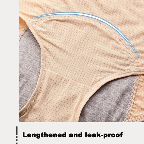 Lot de 2 culottes physiologiques pour femmes, culottes menstruelles anti-fuites, taille mi-haute, en soie glacée.
