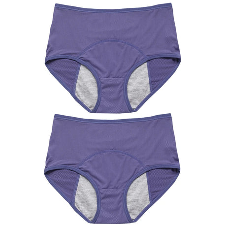 Lot de 2 culottes physiologiques pour femmes, culottes menstruelles anti-fuites, taille mi-haute, en soie glacée.