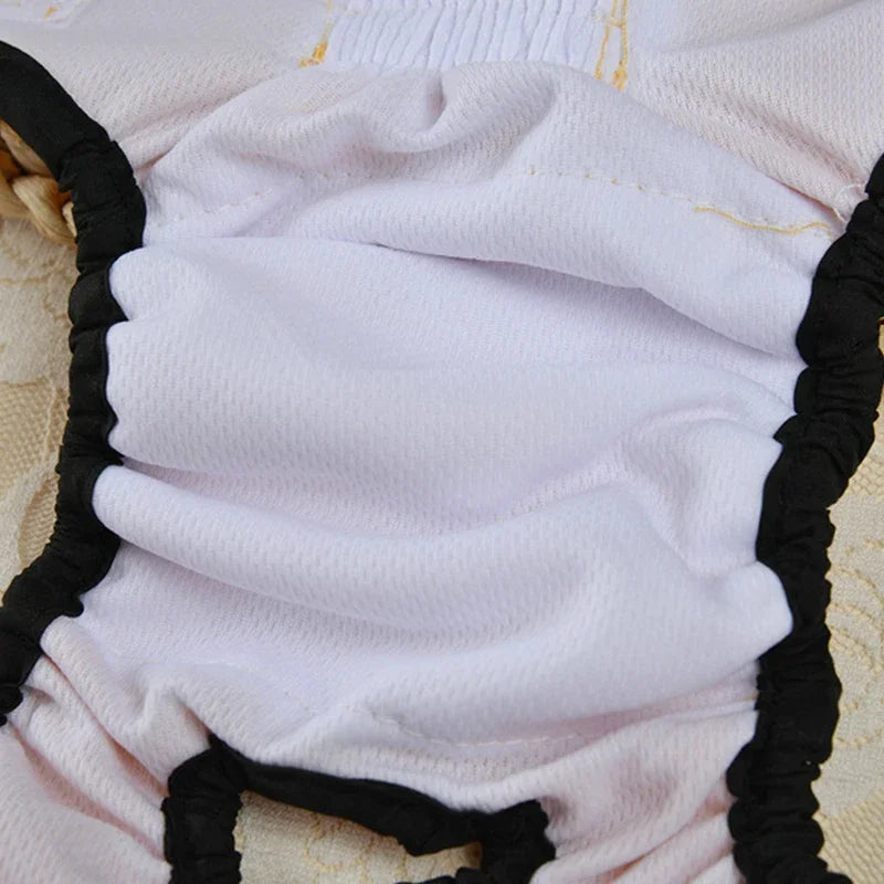 Culottes hygiéniques réutilisables et lavables pour petits chiens, couches pour chiens femelles, culottes physiologiques pour chats mâles, menstruation des animaux de compagnie