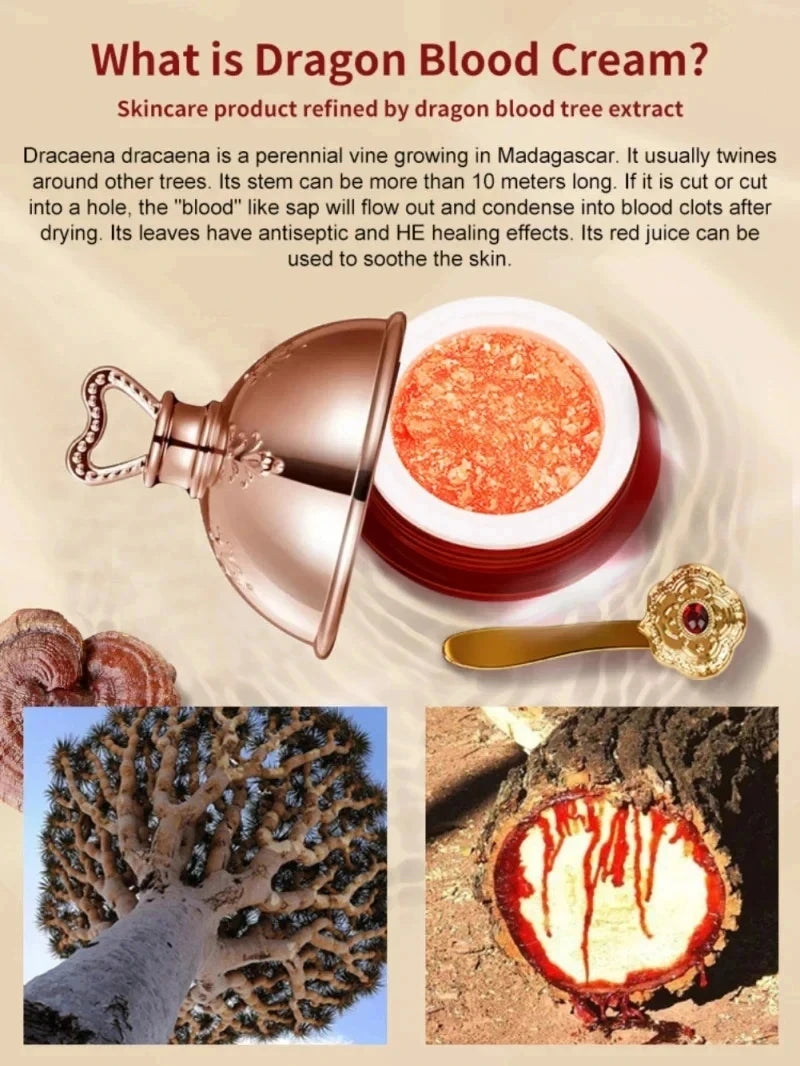 Crème visage Sang de Dragon, essence de rétinol et de placenta, éclaircissante, liftante et raffermissante, soin coréen