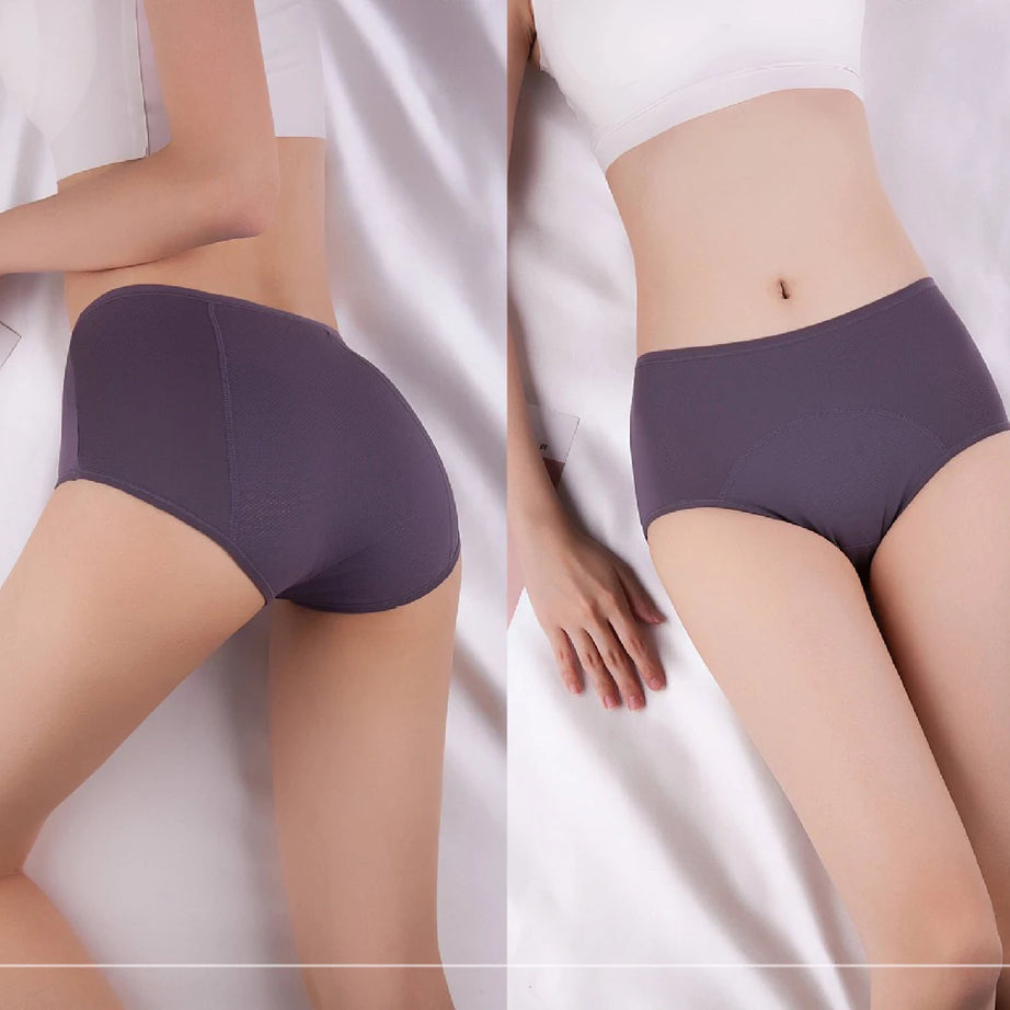 Lot de 2 culottes physiologiques pour femmes, culottes menstruelles anti-fuites, taille mi-haute, en soie glacée.