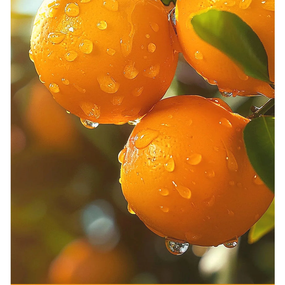Gel exfoliant à l'orange 50 g, exfoliant, élimine les cellules mortes, nettoie en profondeur, longue durée, hydrate, purifie les pores, convient pour le corps entier