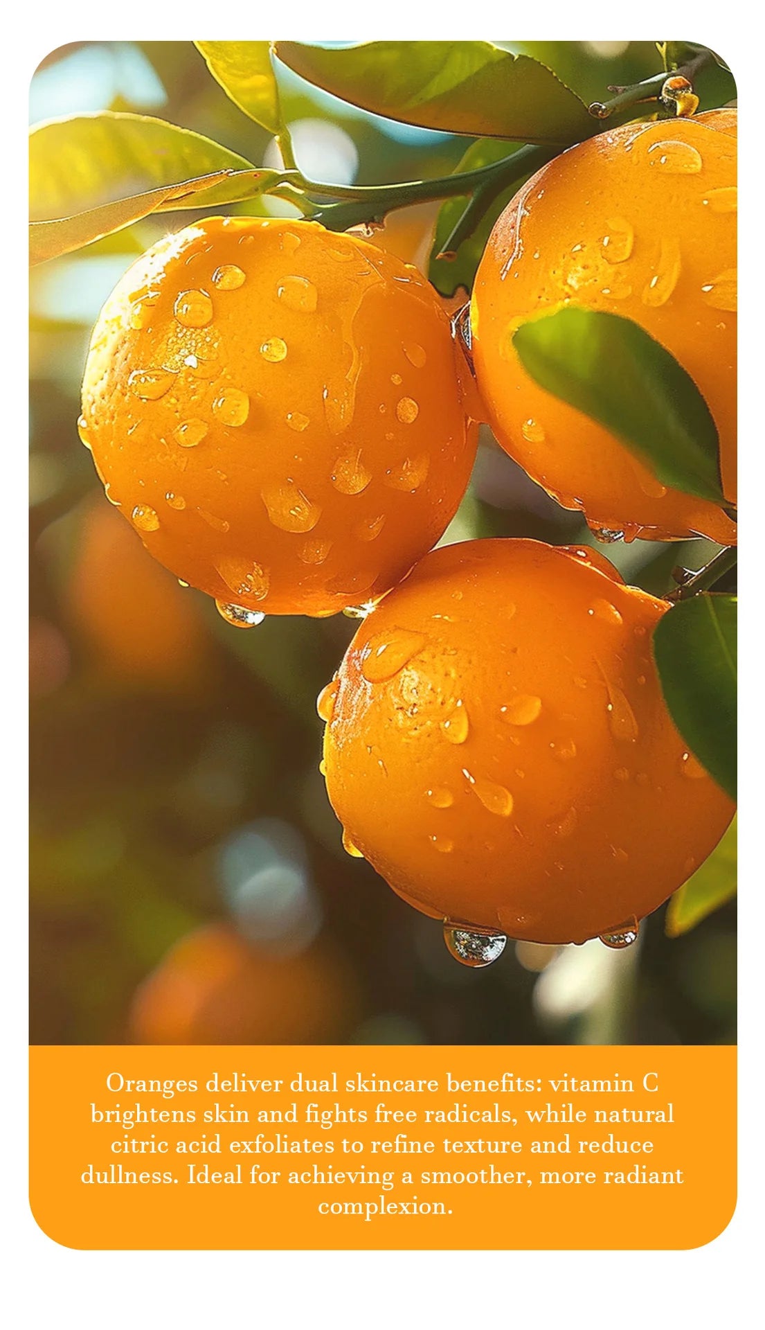 Gel exfoliant à l'orange 50 g, exfoliant, élimine les cellules mortes, nettoie en profondeur, longue durée, hydrate, purifie les pores, convient pour le corps entier