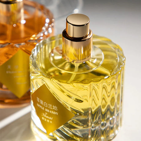 Parfum pour homme de marque premium Arabian Charm, parfum aux phéromones en spray, parfum unisexe longue tenue, fougère boisé romantique