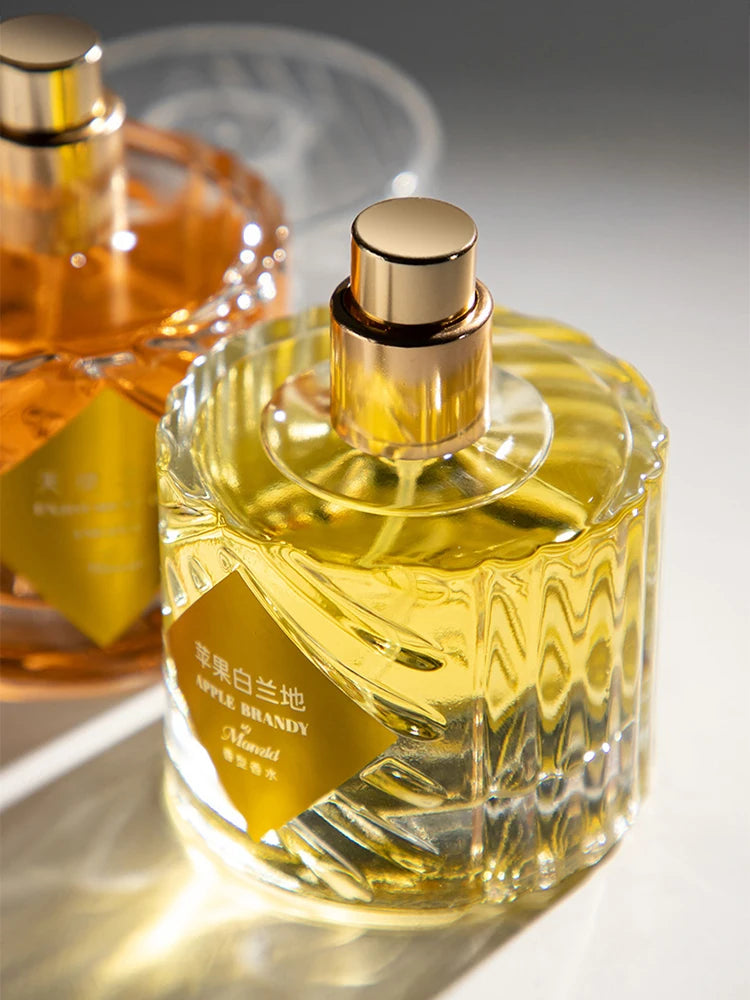 Parfum pour homme de marque premium Arabian Charm, parfum aux phéromones en spray, parfum unisexe longue tenue, fougère boisé romantique