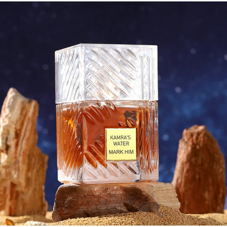 Parfum pour homme de marque premium Arabian Charm, parfum aux phéromones en spray, parfum unisexe longue tenue, fougère boisé romantique