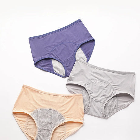 Lot de 2 culottes physiologiques pour femmes, culottes menstruelles anti-fuites, taille mi-haute, en soie glacée.