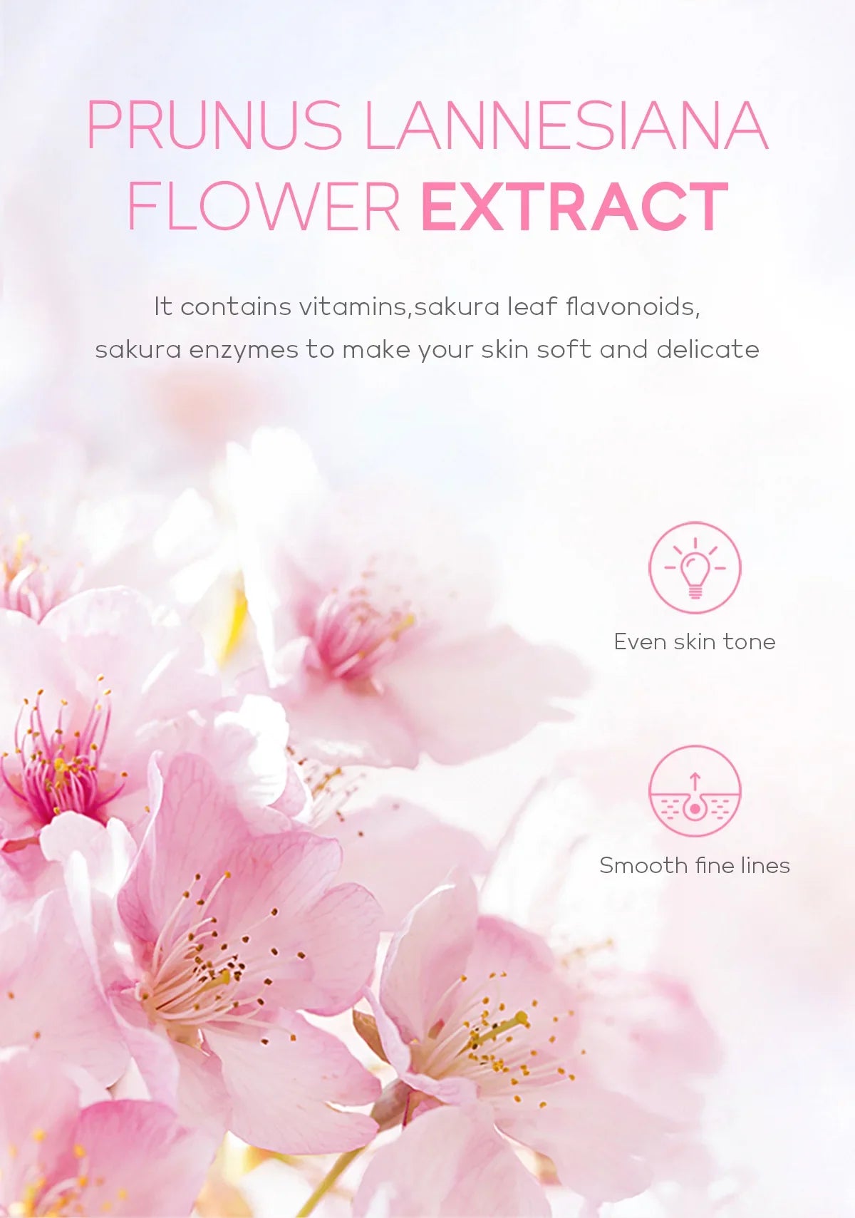 Gel exfoliant nettoyant en profondeur Sakura pour le visage, soin éclaircissant et hydratant, gommage réparateur, 60 g